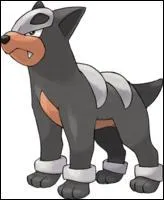 Quelle est l'volution de Malosse ?