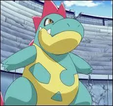 Quelle est l'volution de Crocodile ?