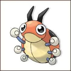 Quelle est l'volution de Coxy ?