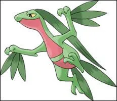 Quelle est l'volution de Massko ?