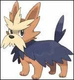 Quelle est l'évolution de Ponchien ?