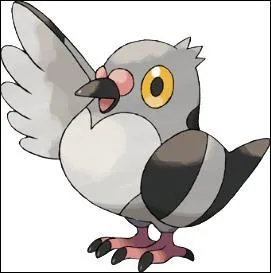 Quelle est l'évolution de Poichigeon ?