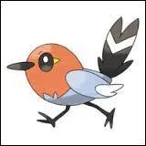 Quelle est l'évolution de Passerouge ?