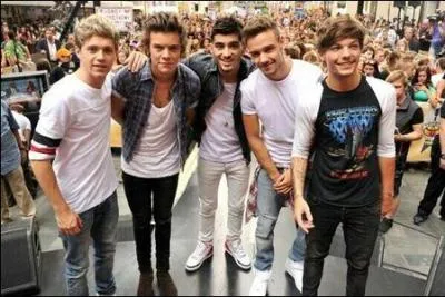 Deux des One Direction font polémique depuis plusieurs jours ( nous sommes le 30 mai ), lesquels ?