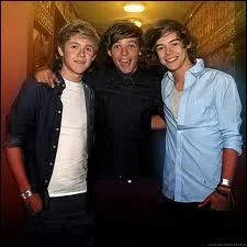 Qui a eu l'ide du nom du groupe One Direction ?