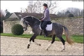 Pour prendre le galop, tu recules ta jambe...