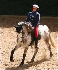 Un cheval qui est sur la piste à main gauche et qui galope à droite est ...