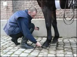 Il faut graisser les pieds de son cheval ...