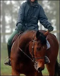 La rêne qui a pour effet de faire tourner le cheval du côté où la main agit, s'appelle...