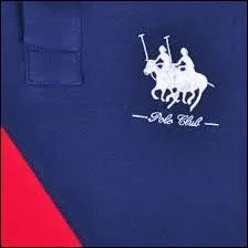 Quelle est cette marque ?