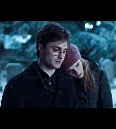 La journe n'est pas finie ! Que dcouvrent les Gryffondor lorsqu'ils reviennent dans leurs quartiers ?