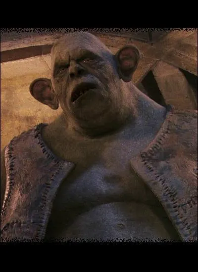 Dans le tome 1, pourquoi y a-t-il un troll dans les cachots ?