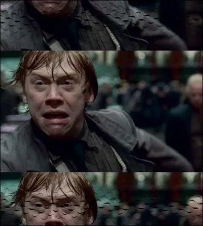 Toujours dans le tome 1, o se passe la bataille avec le troll ?