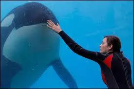 De quel film est tire cette image ?