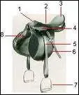 Quel est le nom de la partie n5 et 6 de cette selle ?