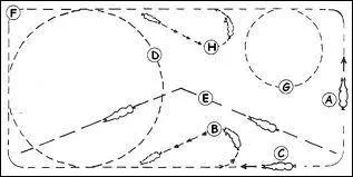 Quel est le nom de la figure D ?