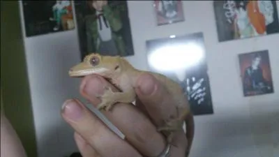 Quelle est ma particularit physique ?