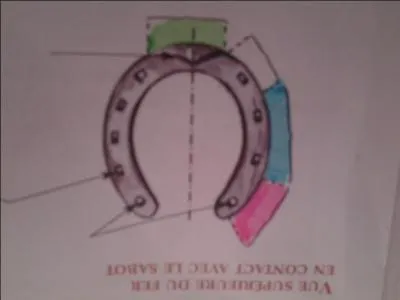 Quelle est la partie bleue ?