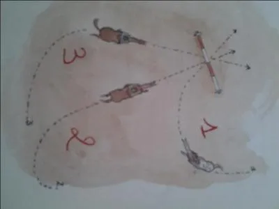 Quelle est la bonne trace pour aller sauter ce vertical ?