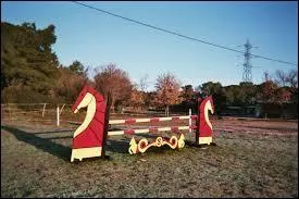 Quel est le nom de cet obstacle ?