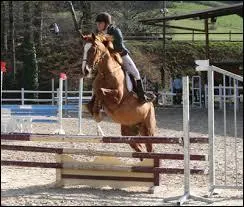 Quel est le nom de cet obstacle ?