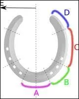 Comment s'appelle la partie D du fer ?