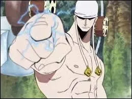 Quel est le type de fruit de ce personnage ?