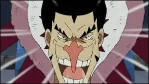 Quel est le type de fruit de ce personnage ?