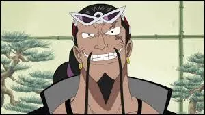 Quel est le type de fruit de ce personnage ?