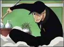 Quel est le type de fruit de ce personnage ?