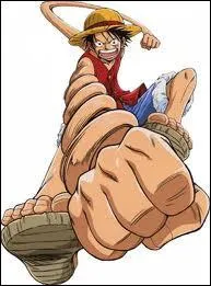 Quel est le type de fruit de ce personnage ?