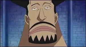 Quel est le type de fruit de ce personnage ?