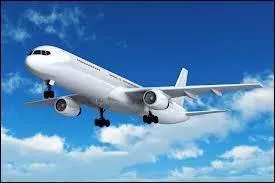 J'observe l'image et je vois un avion en train de voler en hauteur !