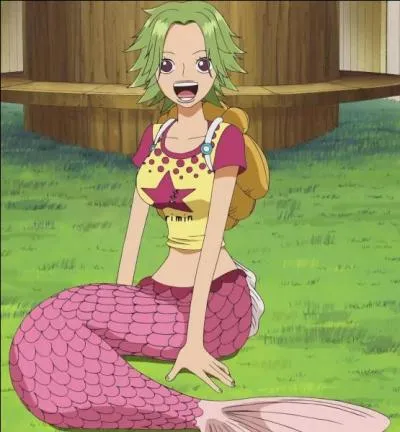 Comment se nomme cette sirne ?