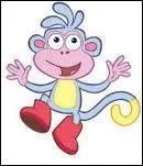 Qui est ce singe, ami de Dora l'exploratrice ?