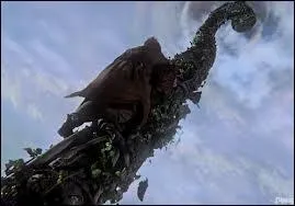 Pour quelle raison Emma et le Capitaine Crochet empruntent-ils le haricot magique pour aller dans le monde des gants ?