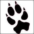 A qui appartient cette empreinte ?