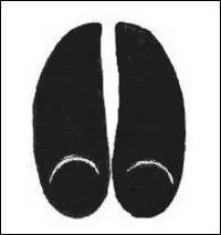 A qui appartient cette empreinte ?