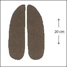 A qui appartient cette empreinte ?