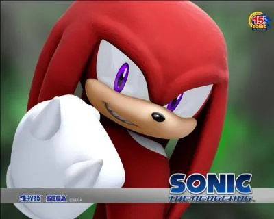 Knuckles est dans son Team celui qui :