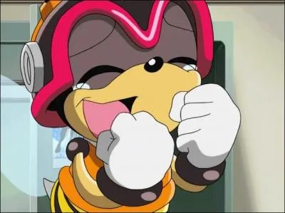 Charmy est dans son Team celui qui :