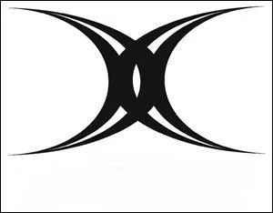 Du rugby maintenant.