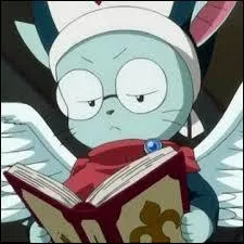 Il peut lui aussi ... ( plusieurs rponses possible ).