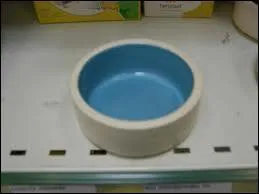 Dans quoi un hamster mange-t-il ? ?