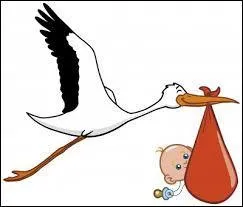 Quelle est sa date de naissance ?