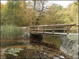 A quel film vous fait penser cette image ?