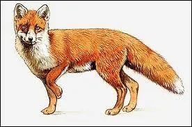 A quel film vous fait penser cette image ?