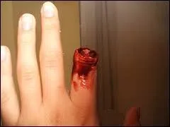 A quel film vous fait penser cette image ?