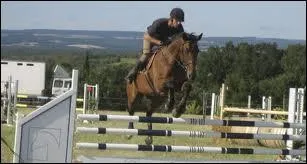 Quelle est cette discipline ?