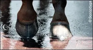 Qu'est-ce que c'est ?